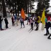 Чемпионат и первенство города Соликамска по лыжным гонкам памяти Р.Г.Гоппа